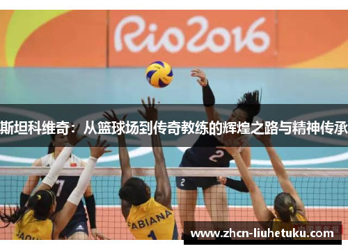 斯坦科维奇：从篮球场到传奇教练的辉煌之路与精神传承