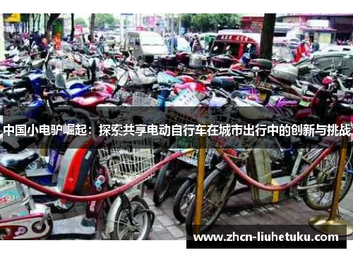 中国小电驴崛起：探索共享电动自行车在城市出行中的创新与挑战